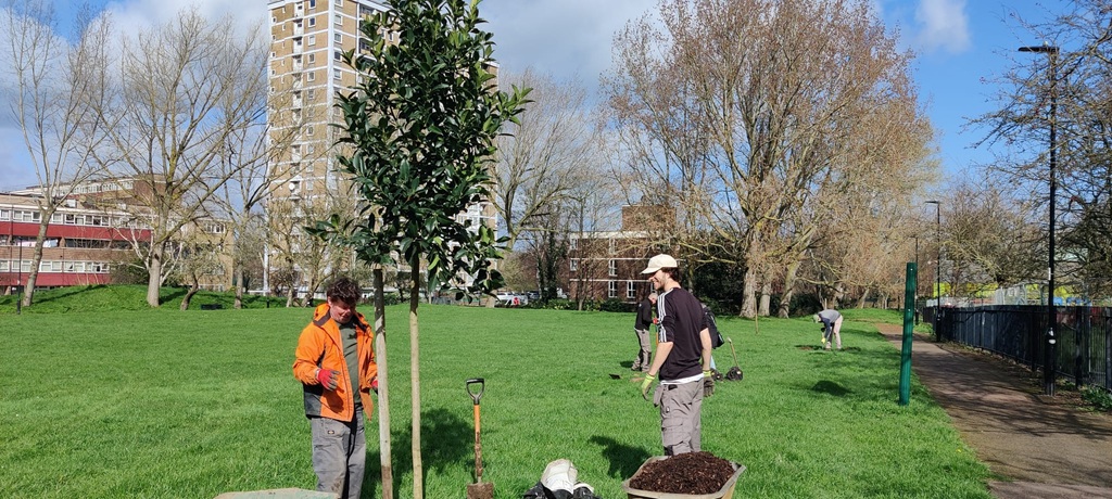 Ten new trees for Paignton Park planted in March 2026