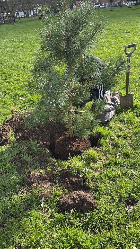 Ten new trees for Paignton Park planted in March 2026
