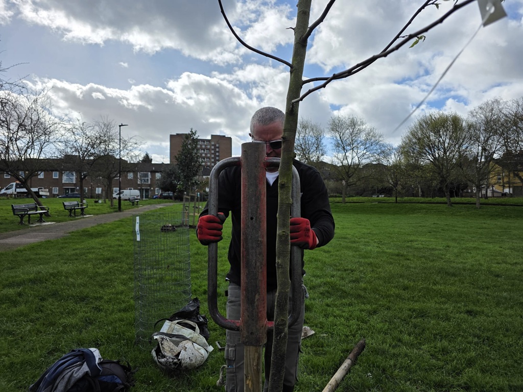 Ten new trees for Paignton Park planted in March 2026